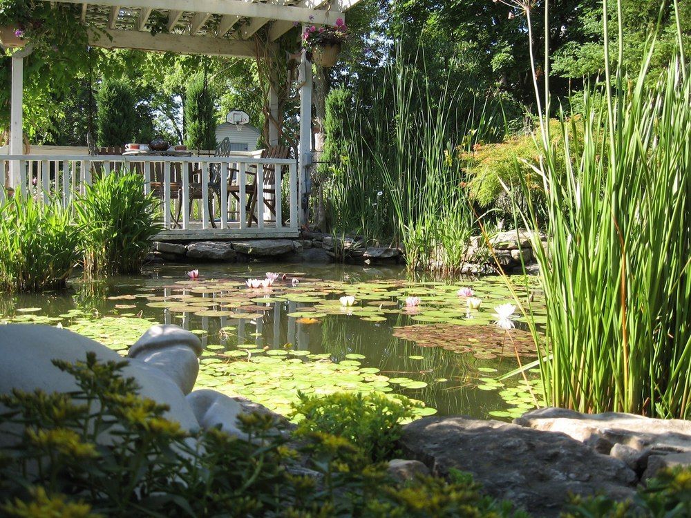 Carrousel Bed & Breakfast Cayuga Εξωτερικό φωτογραφία