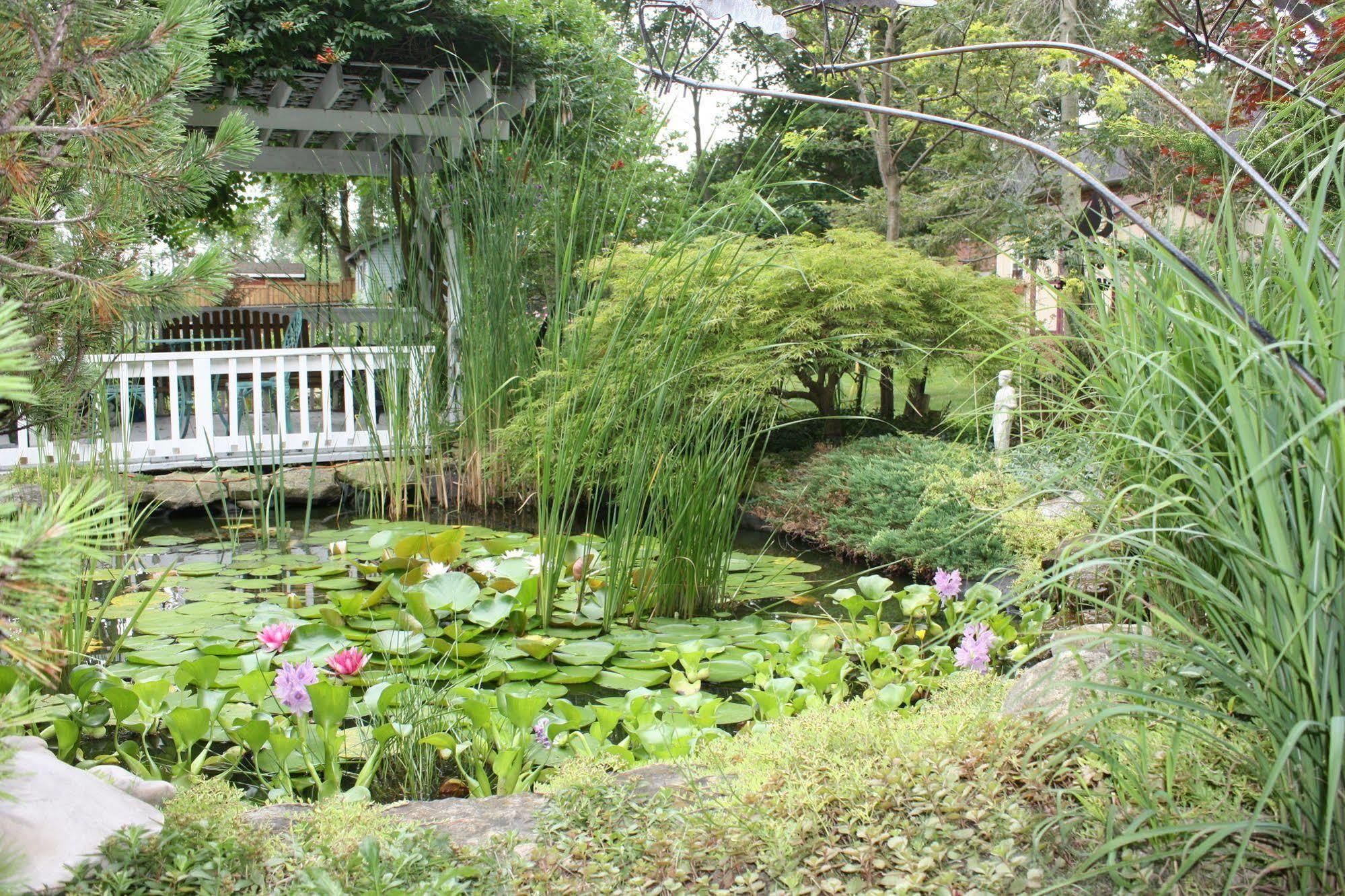 Carrousel Bed & Breakfast Cayuga Εξωτερικό φωτογραφία
